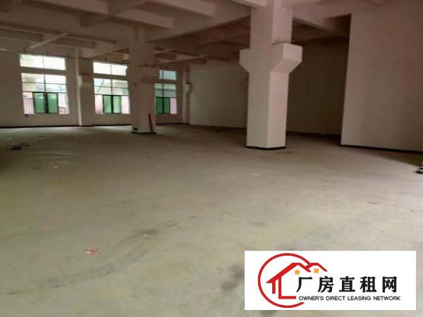  南栅原房东厂房一楼600平方带牛角高度6米