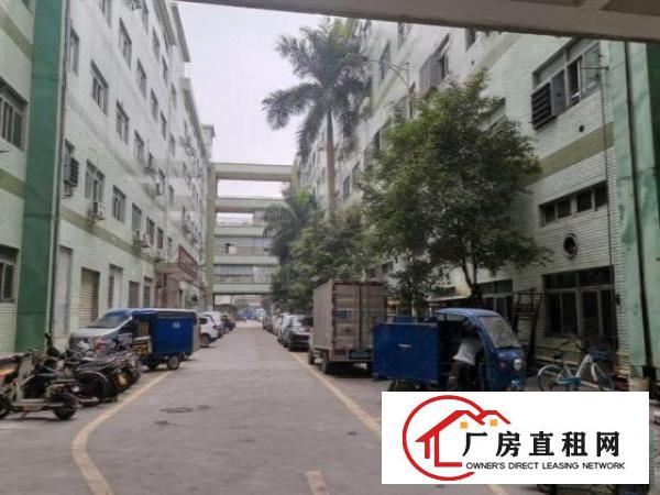  小捷滘标准厂房二楼950平可办环评可分租，交通方便