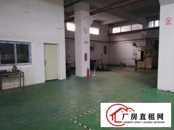  新联原房东一楼1100平方厂房出租实际面际