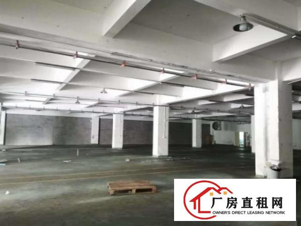  白沙2080平厂房出租豪华装修超大停车场