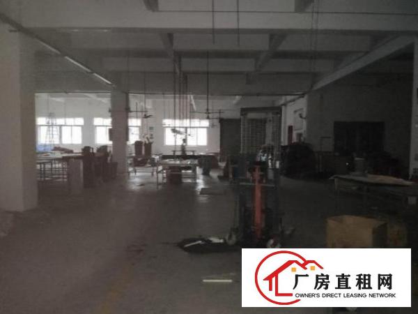  大宁一楼原房东厂房1100平厂房招租！面积实在！