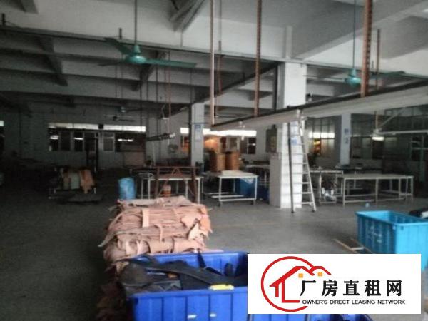  大宁一楼原房东厂房1100平厂房招租！面积实在！