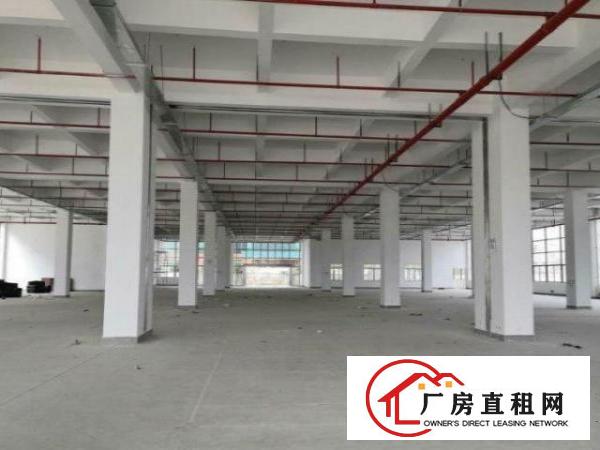  博美厂房独栋标准带红本办环评易招工可分500