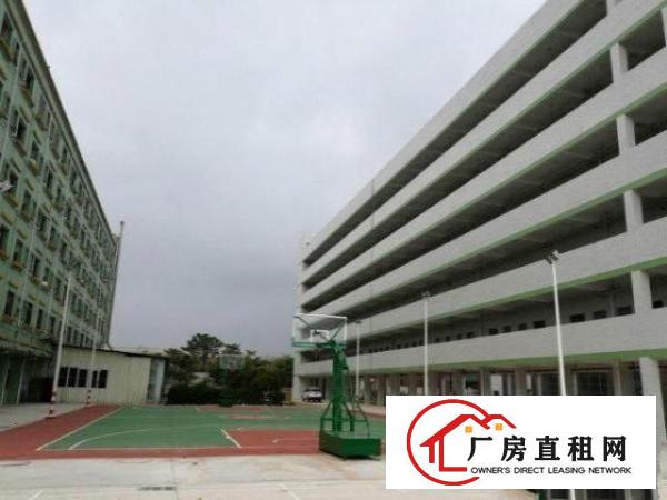  博美厂房独栋标准带红本办环评易招工可分500