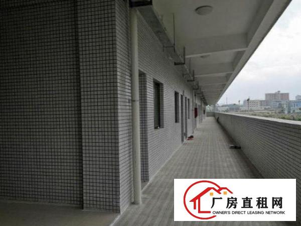  博美厂房独栋标准带红本办环评易招工可分500