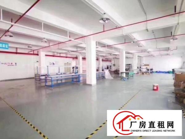  龙眼工业区标准小独院厂房三层3800平方