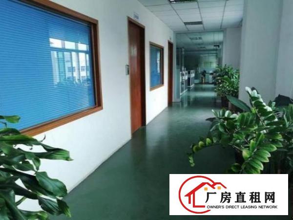  怀德工业区二楼1800平方厂房，豪华办公装修，水电齐全