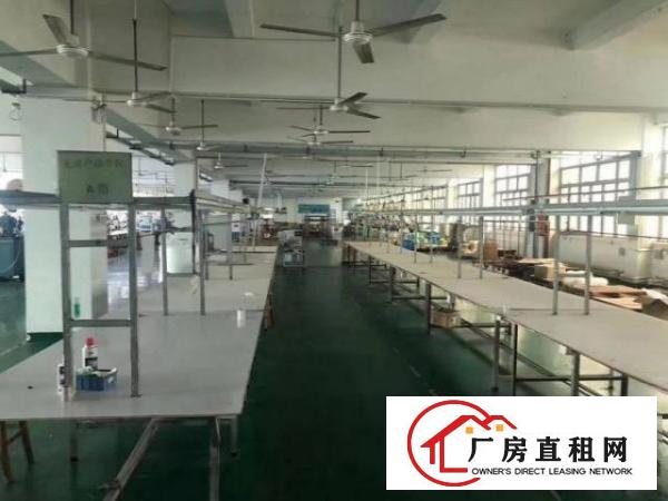  南栅楼上精装修1000平方厂房，现成办公装修地坪漆