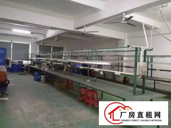  博美楼上现成电子厂800平方，现成装修，水电齐全