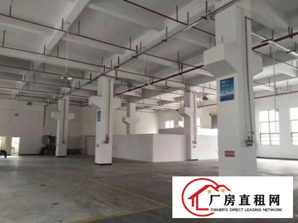  南栅新出原房东1500平方带精装修一楼厂房出租，无公摊