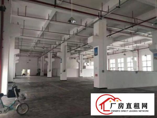 南栅新出原房东1500平方带精装修一楼厂房出租，无公摊