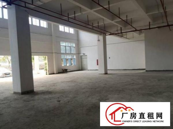  博美新出全新厂房原房东1500平方300起分