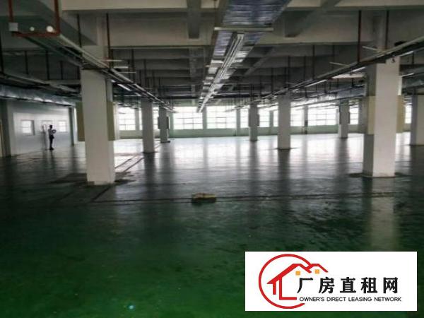  白沙新出原房东独门独院1000平厂房分租