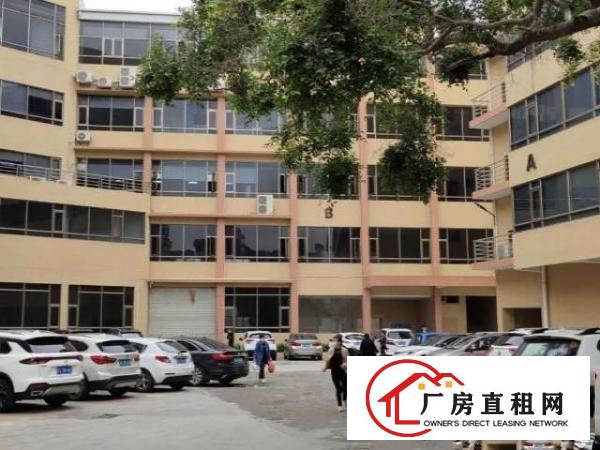  怀德独门独院新出一楼1200平出租水电办公室齐全