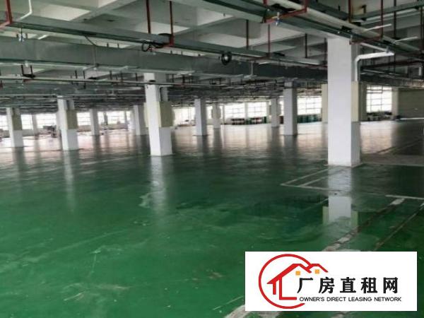  白沙新出原房东独门独院1000平厂房分租