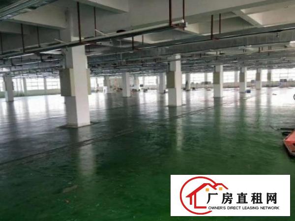  白沙新出原房东独门独院1000平厂房分租