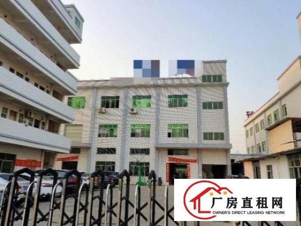  南栅新空出原房东厂房3楼1300平方带精装修出租
