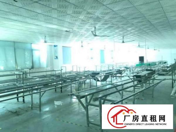  树田实际面积800平方带装修厂房出租