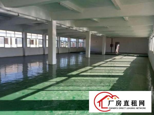  南栅新出2楼带装修700平方厂房出租，可办环评