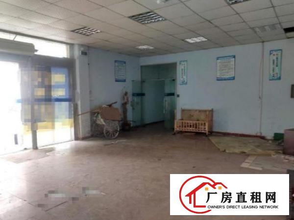  南栅独门独院单一层400平厂房出租水电齐全