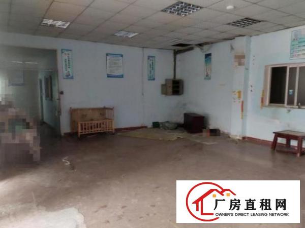  南栅独门独院单一层400平厂房出租水电齐全