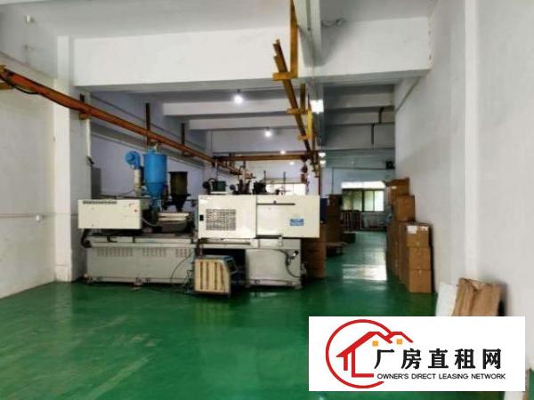  镇口独院一楼540平出租水电办公室齐全可办环评