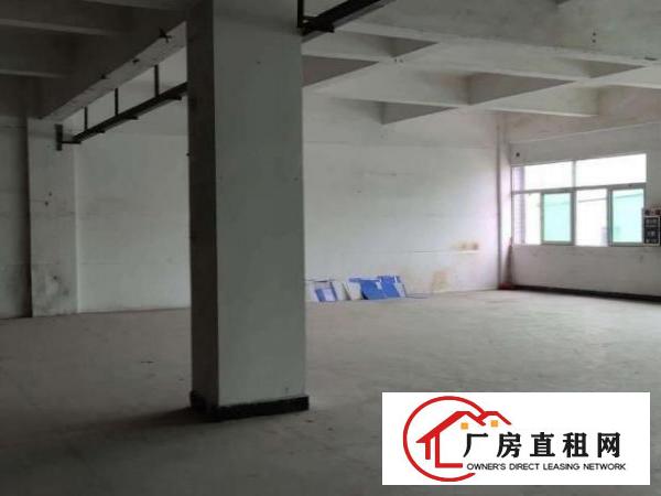  怀德独门独院二楼780平出租主线到位空地大