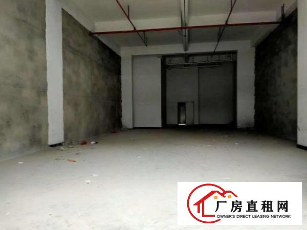  白沙厂房一楼300平招租高7米可办环评价格优惠