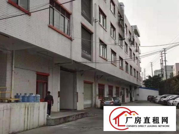  大宁独门独院标准一楼500平招租现成水电装修