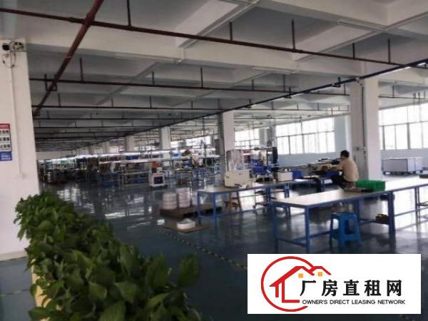  新联精装修968平方厂房出租，可办环评