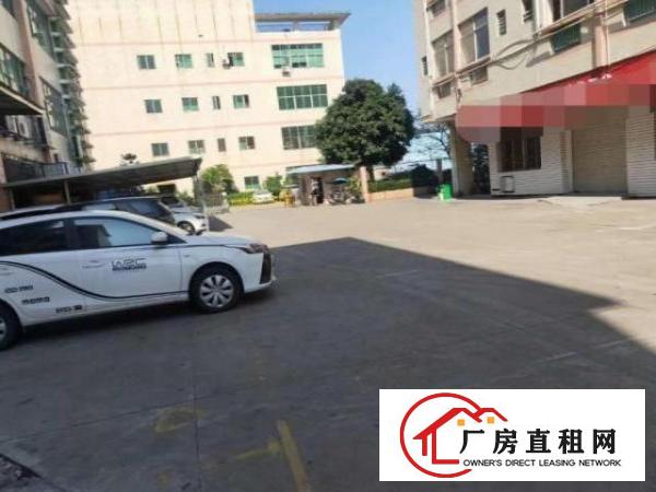  南栅厂房招租豪华装修水电齐全可办环评