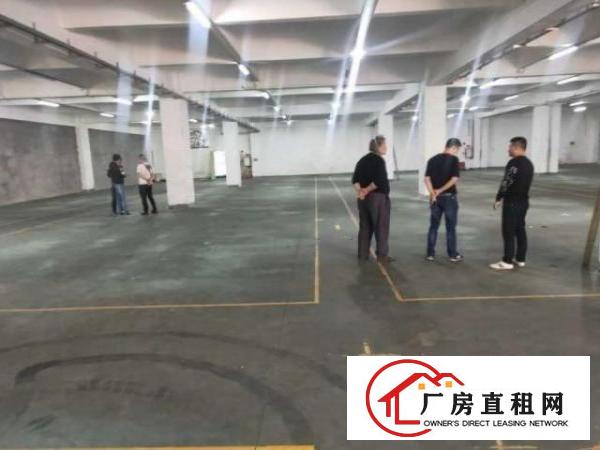  南栅厂房招租豪华装修水电齐全可办环评