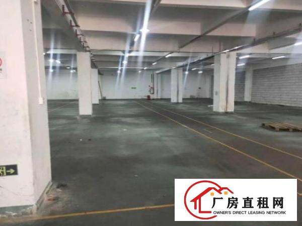  南栅厂房招租豪华装修水电齐全可办环评