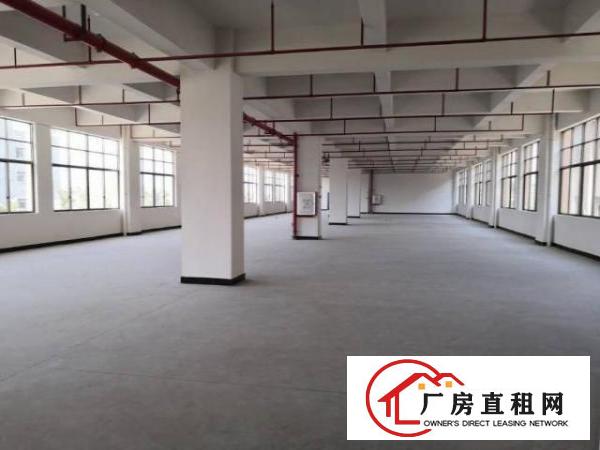  标准厂房一楼1250平方米出租