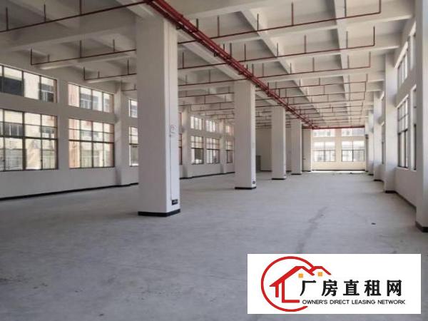  标准厂房一楼1250平方米出租