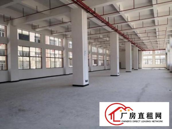  标准厂房一楼1250平方米出租