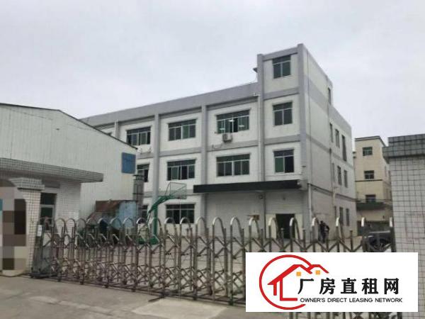  新联新出一楼1550平方，厂房现成装修