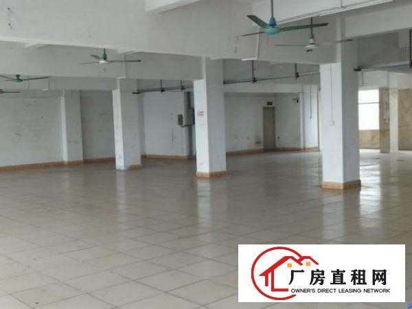  原房东独栋厂房实际面积出租，不含公摊面积