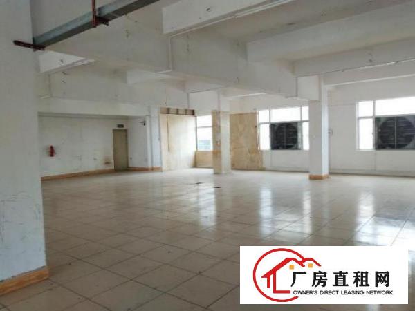  原房东独栋厂房实际面积出租，不含公摊面积