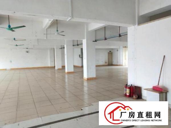  原房东独栋厂房实际面积出租，不含公摊面积