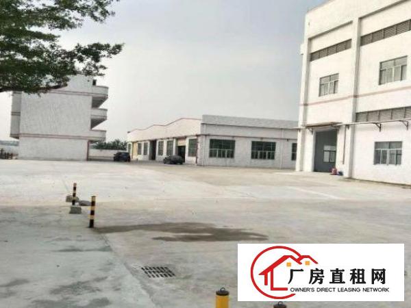  镇口独门独院单一层钢结构2500厂房出租
