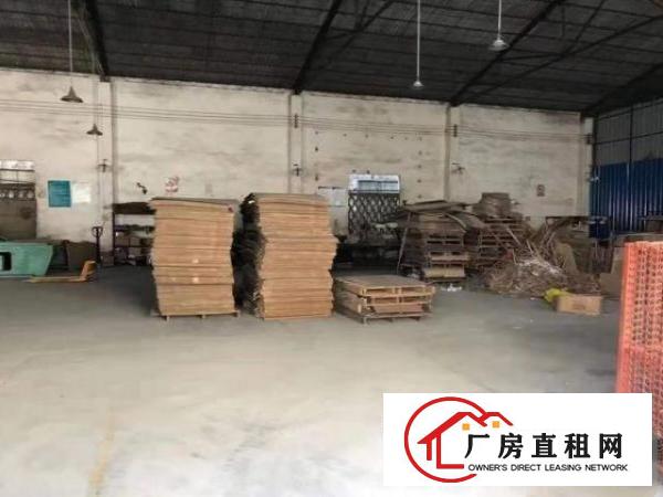  南栅单层厂房1080平8米高，房东是主任，适合任何行业
