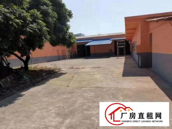  南栅单层厂房1080平8米高，房东是主任，适合任何行业