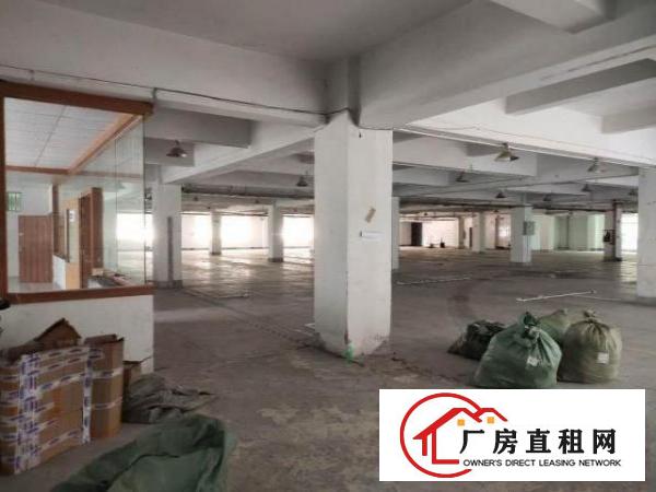  厂房外墙全面翻新过！