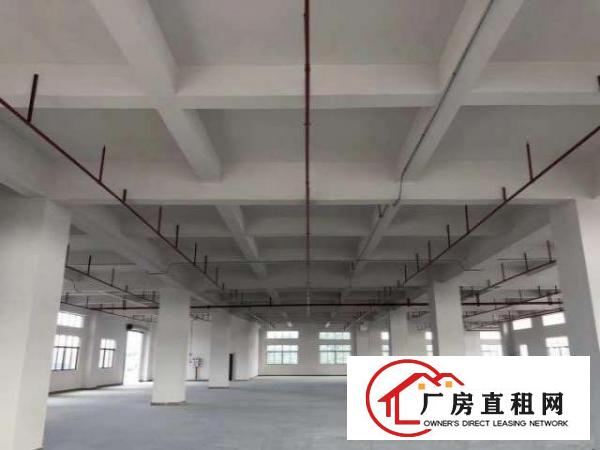  豪华大型工业园厂房火爆招租