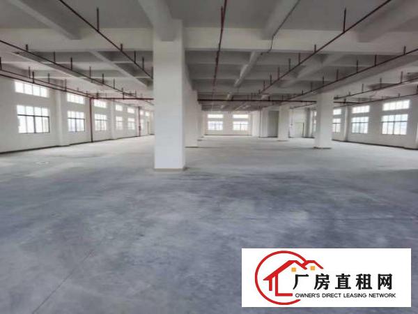 豪华大型工业园厂房火爆招租