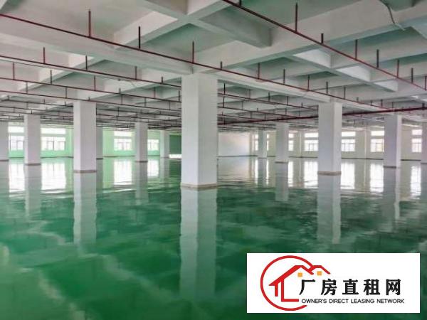  豪华大型工业园厂房火爆招租