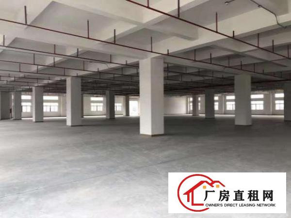  豪华大型工业园厂房火爆招租