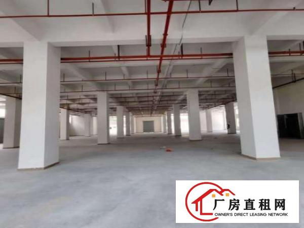  豪华大型工业园厂房火爆招租