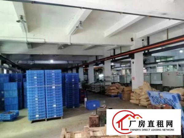  南栅新出原房东标准独院厂房2500平方